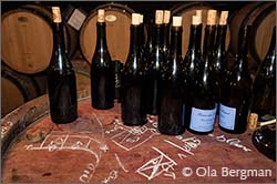 Domaine Sylvain Pataille.