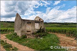 Beaune, Les Cent Vignes.