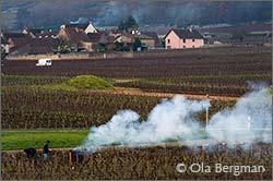 Chassagne-Montrachet, Burgundy.