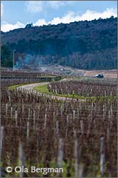 Gevrey-Chambertin in Burgundy.