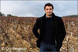 Florent Dauvissat at Domaine Agnès et Didier Dauvissat, Beine.