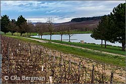 Étang de Beine, Burgundy.