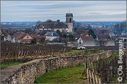 Pommard, Burgundy.