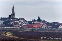 Mursault, Burgundy.