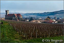 Fuissé in Burgundy.
