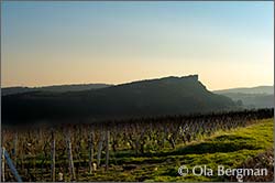 Vergisson, Burgundy.