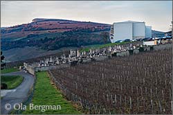 Davaye, Burgundy.