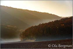 Gevrey-Chambertin in Burgundy.