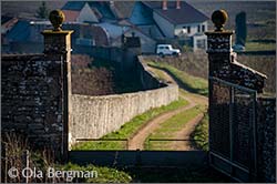 Gevrey-Chambertin, Burgundy.