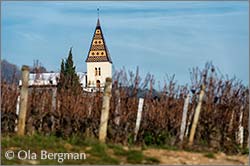 Les Arvelets in Fixey, Burgundy.
