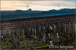 Chablis, Burgundy.