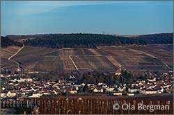 Chablis, Burgundy.