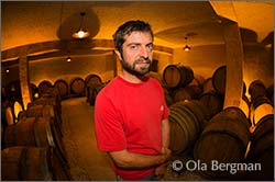 Thomas Pico at Domaine Pattes Loup in Courgis, Burgundy.
