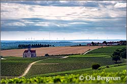 Préhy, Burgundy.