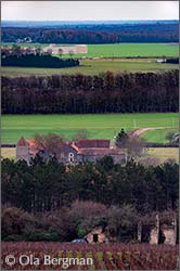 Rully, Clos du Chaigne, Burgundy.
