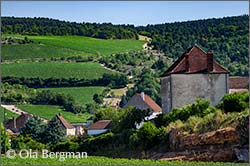 Saint-Aubin, Burgundy.