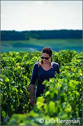 Claire Race at Domaine Denis Race in Chablis.