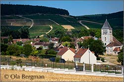 Chablis, Burgundy.
