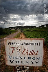 Volnay, Burgundy.