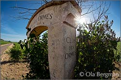 Morey-Saint-Denis premier cru, Clos des Ormes.