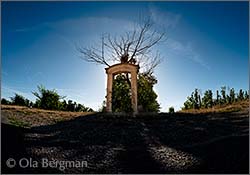 Morey-Saint-Denis premier cru, Clos des Ormes.