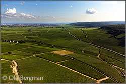 The Corton hill, Savigny-lès-Beaune and Beaune, Burgundy.