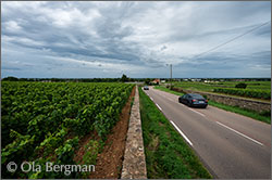 Beaune premier cru Aux Cras, Burgundy.