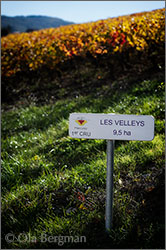 Mercurey premier cru Les Veley.