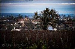 Mercurey, Burgundy.