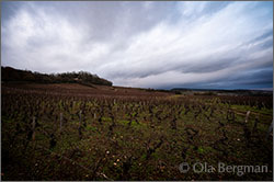 Mercurey premier cru Clos de Montaigu.