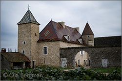 Domaine Socrate in Granges, Burgundy.