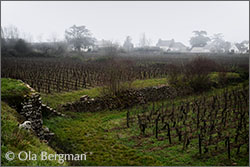 Fixin, En Combe Roy.