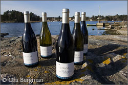 Burgundy bottles by the Baltic Sea.