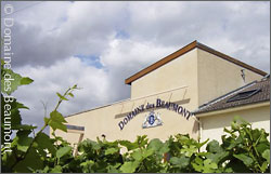 Domaine des Beaumont in Morey-Saint-Denis.